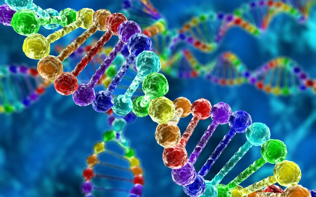 Focus sur la spécialité Bioinformatique