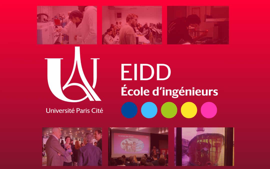 L’EIDD dévoile sa nouvelle identité visuelle et son nouveau site
